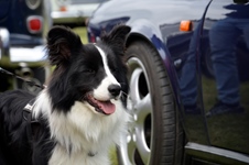 Oldtimershow Blauwmolen -  7 juni 2026