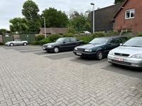 9de Ravelse Pierenrit -  7 juni 2026