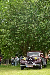 Oldtimer meeting Retro Bridge Wilsele -  14 juni 2026