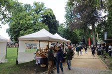 Contich Vintage Fest -  14 juni 2026