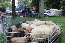 Contich Vintage Fest -  14 juni 2026