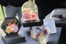 Contich Vintage Fest -  14 juni 2026