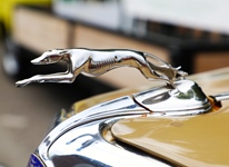 Contich Vintage Fest -  14 juni 2026