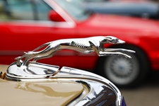 Contich Vintage Fest -  14 juni 2026