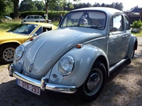 Oldtimers Muze Olen -  17 juni 2026