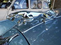 Oldtimers Muze Olen -  17 juni 2026