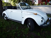 Oldtimers Muze Olen -  17 juni 2026