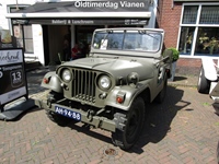 Oldtimerdag Vianen -  20 juni 2026