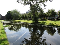 Oldtimerdag Vianen -  20 juni 2026