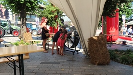 Tractoren treffen in Lommel -  28 juni 2026