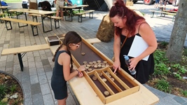 Tractoren treffen in Lommel -  28 juni 2026