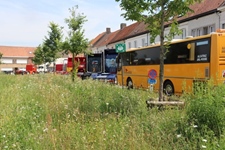 Flamingo Oldtimer Truck Static Show -  21 juni 2026