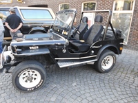 Classic Cars Peer American Retro day -  2 juli 2026