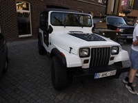 Classic Cars Peer American Retro day -  2 juli 2026