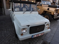 Classic Cars Peer American Retro day -  2 juli 2026