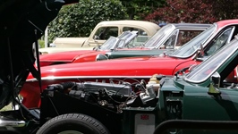 Cars & Coffee Sas van Gent -  5 juli 2026