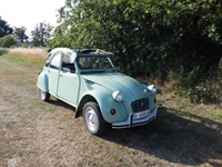 Try Out Cars Coffee And More Noorderwijk -  7 juli 2026