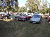 Try Out Cars Coffee And More Noorderwijk -  7 juli 2026