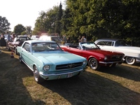 Try Out Cars Coffee And More Noorderwijk -  7 juli 2026