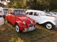 Try Out Cars Coffee And More Noorderwijk -  7 juli 2026