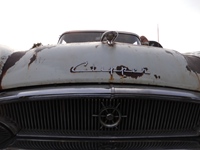 Try Out Cars Coffee And More Noorderwijk -  7 juli 2026
