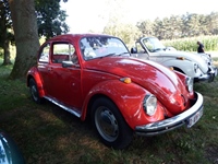 Oldtimers Muze Olen -  8 juli 2026