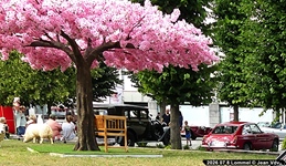 Oldtimertreffen Lommel -  8 juli 2026