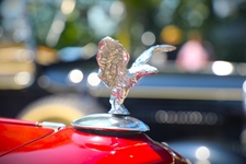 Cars & Coffee Vosselaar -  12 juli 2026