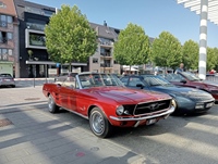 Drinks, Food En Fun -  17 juli 2026