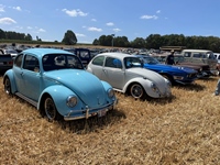 Summer Sweetness Tielt-Winge -  21 juli 2026