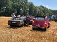 Summer Sweetness Tielt-Winge -  21 juli 2026
