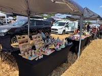 Summer Sweetness Tielt-Winge -  21 juli 2026