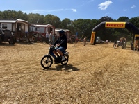 Summer Sweetness Tielt-Winge -  21 juli 2026