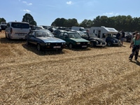 Summer Sweetness Tielt-Winge -  21 juli 2026