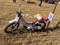 Summer Sweetness Tielt-Winge -  21 juli 2026
