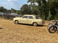 Summer Sweetness Tielt-Winge -  21 juli 2026