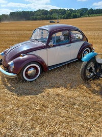 Summer Sweetness Tielt-Winge -  21 juli 2026