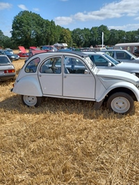 Summer Sweetness Tielt-Winge -  21 juli 2026