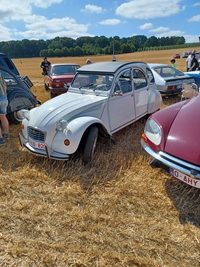 Summer Sweetness Tielt-Winge -  21 juli 2026