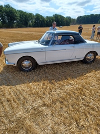 Summer Sweetness Tielt-Winge -  21 juli 2026