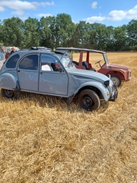 Summer Sweetness Tielt-Winge -  21 juli 2026