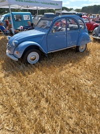 Summer Sweetness Tielt-Winge -  21 juli 2026