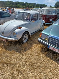Summer Sweetness Tielt-Winge -  21 juli 2026