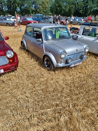 Summer Sweetness Tielt-Winge -  21 juli 2026