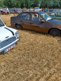 Summer Sweetness Tielt-Winge -  21 juli 2026