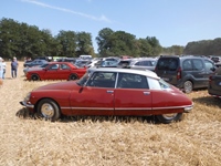 Summer Sweetness -  21 juli 2026