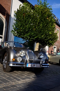Classic Cars Peer -  23 juli 2026