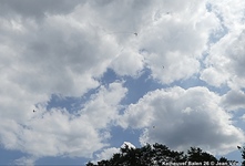 Fly In & Oldtimers Keiheuvel -  25 juli 2026