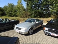 Cars 'n Coffee aan het water Kapelle-op-den-Bos -  2 augustus 2026