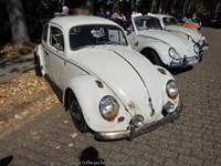 Cars 'n Coffee aan het water Kapelle-op-den-Bos -  2 augustus 2026